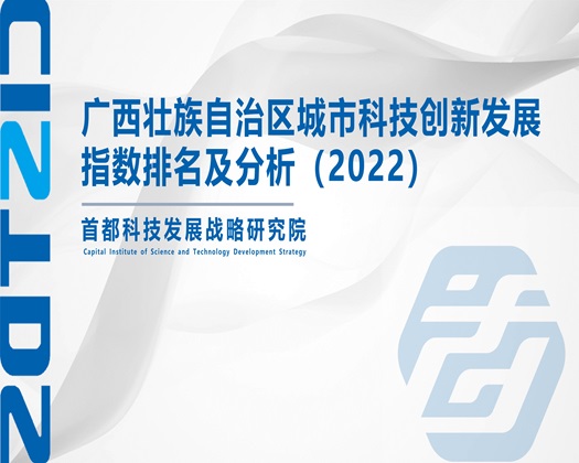 肏骚屄H视频【成果发布】广西壮族自治区城市科技创新发展指数排名及分析（2022）